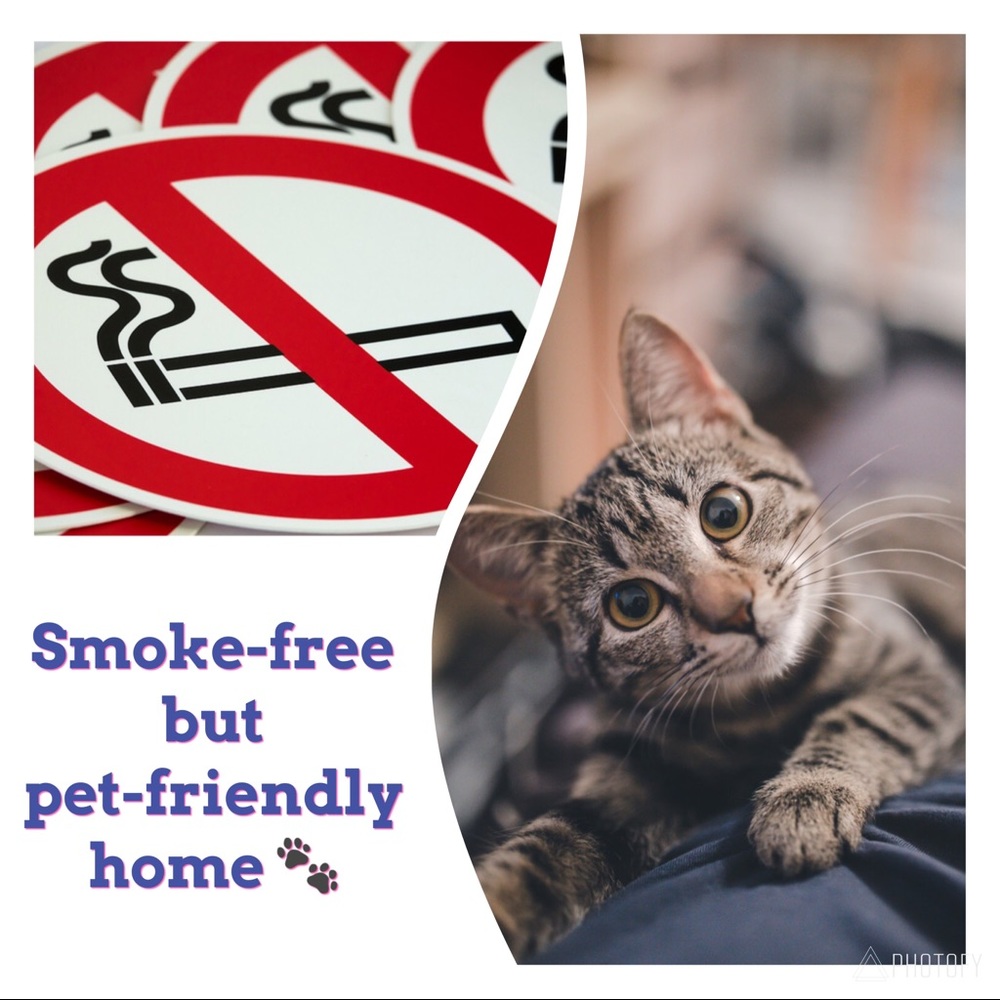Smoke-free but pet-friendly home